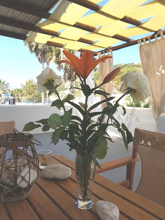 Theo'S Vacation Home Skyros Zewnętrze zdjęcie
