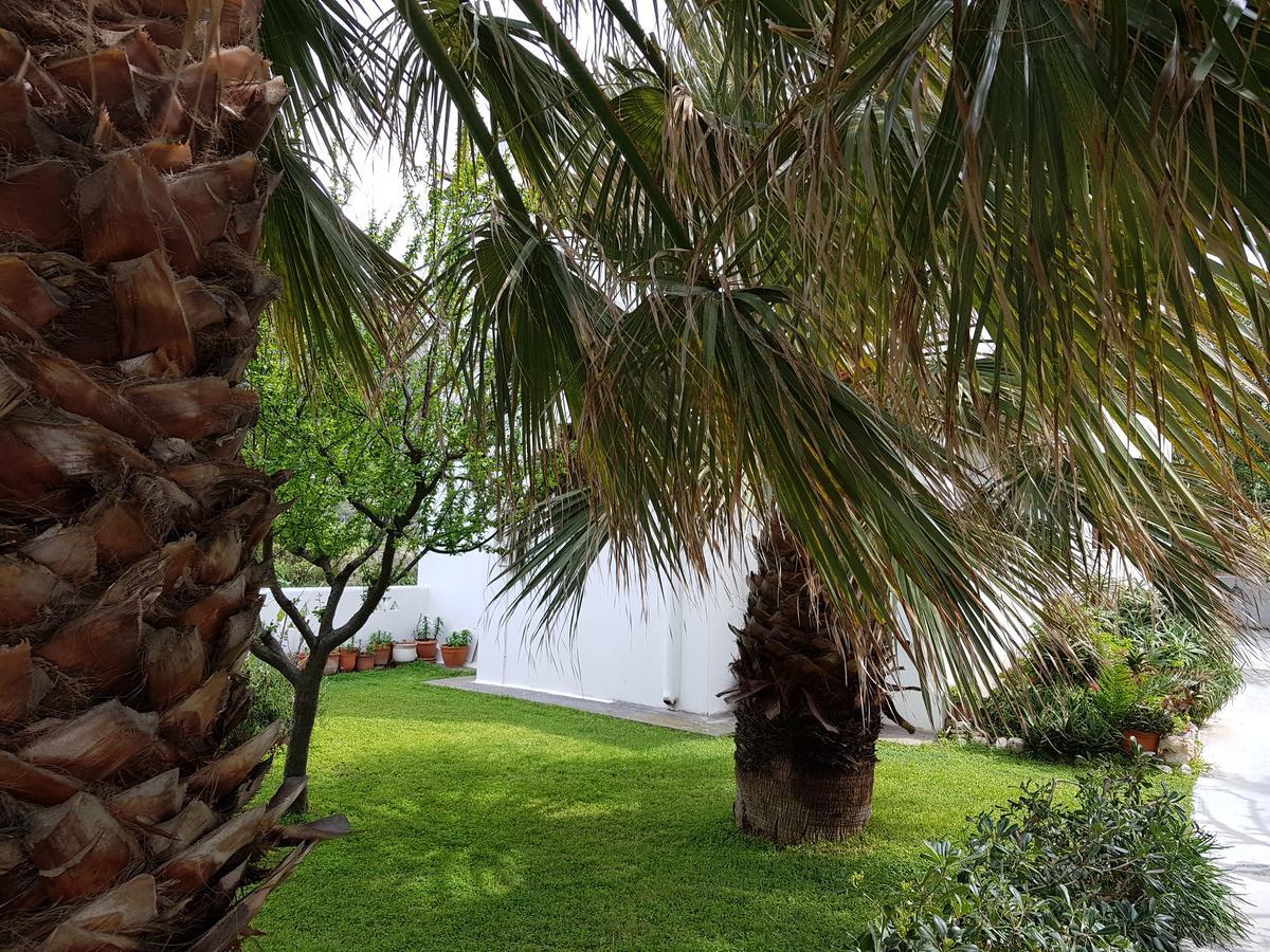 Theo'S Vacation Home Skyros Zewnętrze zdjęcie